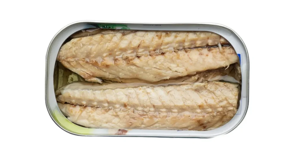 Скумбрия, ж/б